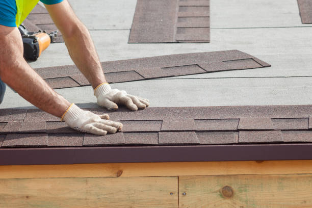 Best Skylight Installation and Repair  in Henning, TN