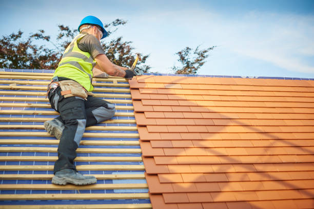 Best Roof Ventilation Installation  in Henning, TN